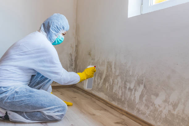 Licensed Crawl Space Mold Removal service in Hagerstown, MD - WQB Mold Removal