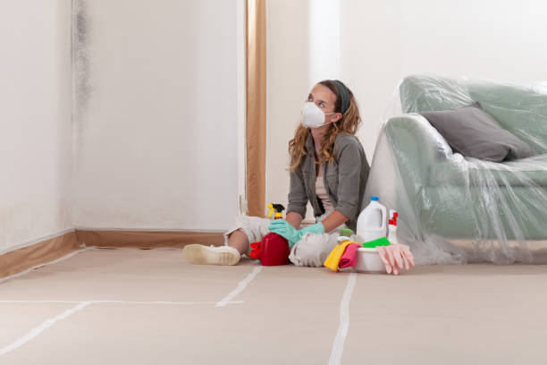 Reliable Crawl Space Mold Removal contractor in Hagerstown, MD by WQB Mold Removal